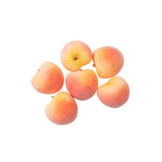 PRIMA Charms - Miel Peach 6pc 997601